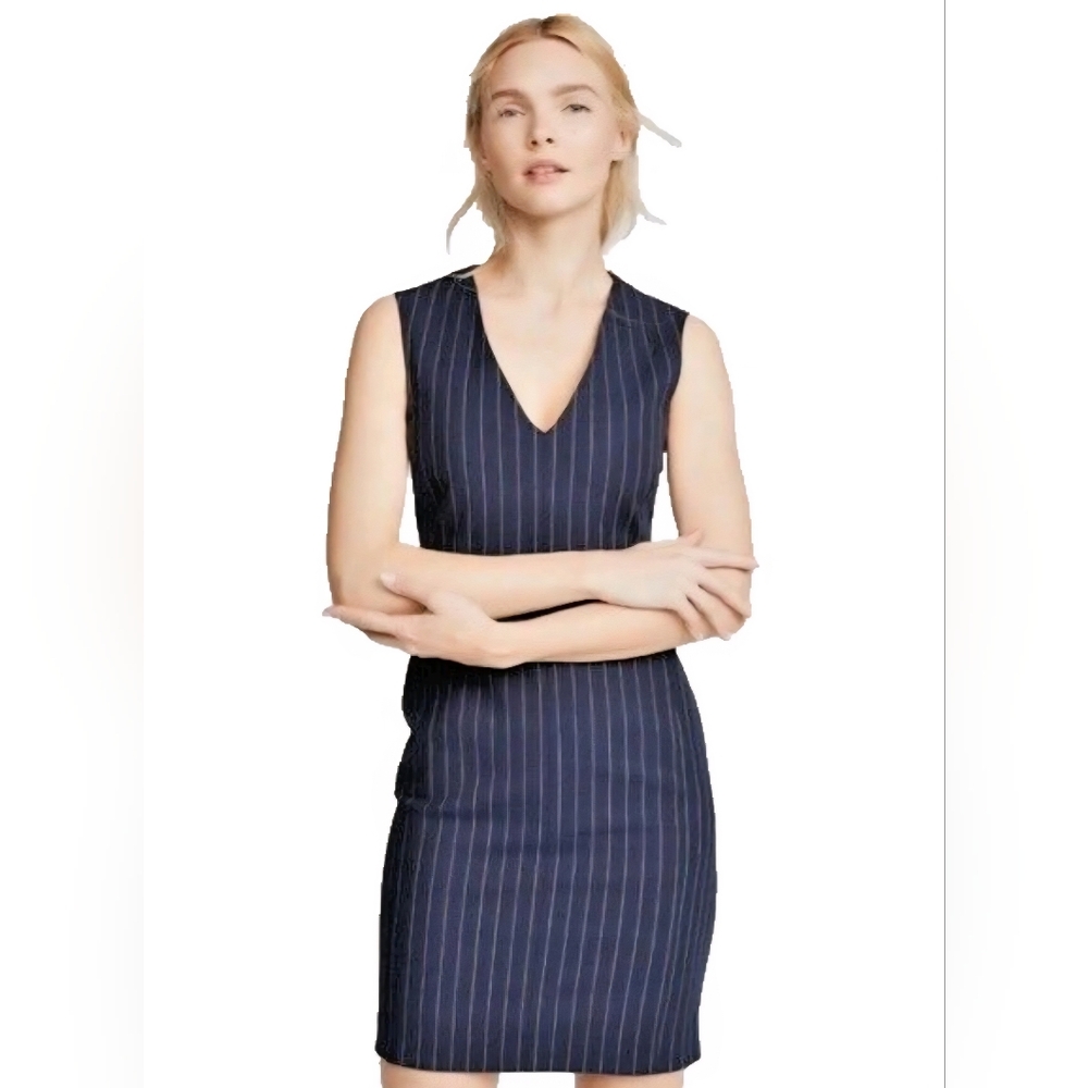 Rag & Bone women 2 Lexi sheath dress career academia sleeveless pinstripes